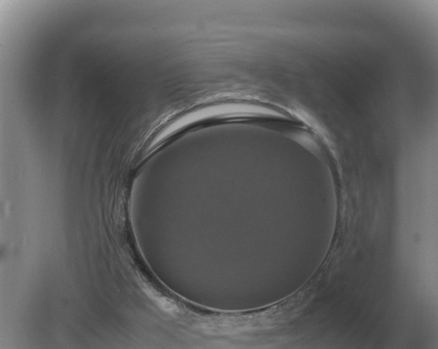 X0000079320009200611251816