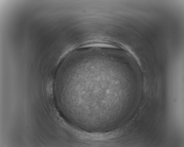 X0000079320010200611251816