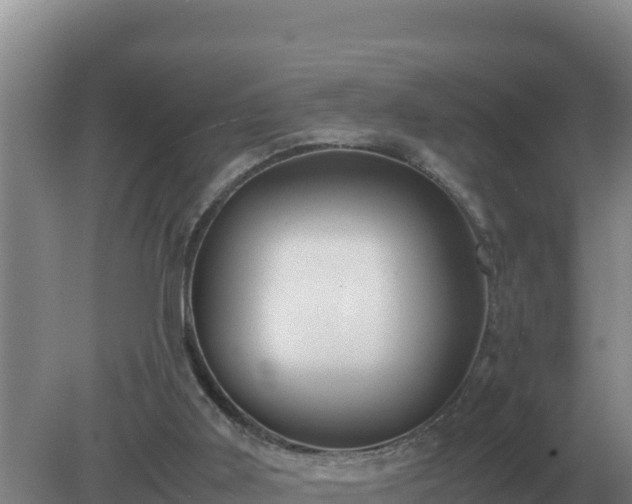 X0000079320011200611251816