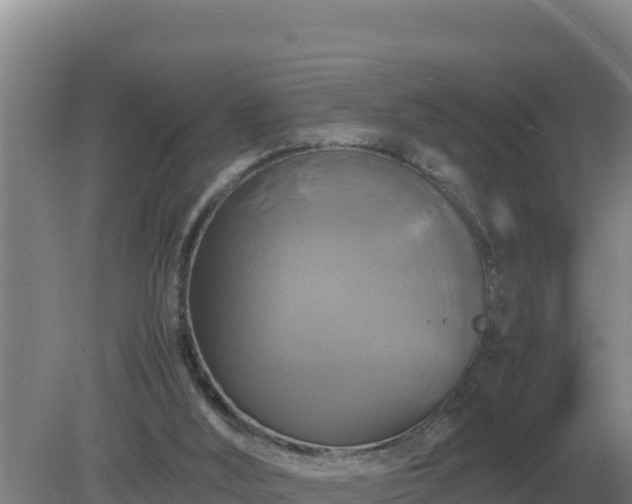 X0000079320012200611251816