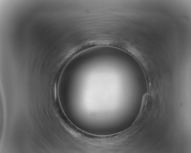 X0000079320013200611251816