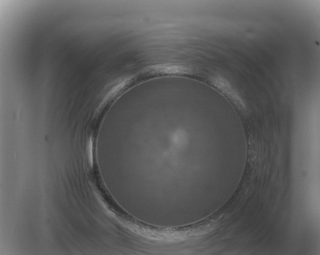 X0000079320014200611251816