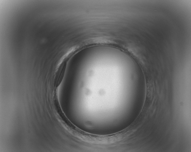 X0000079320015200611251816