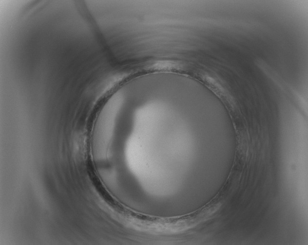 X0000079320016200611251816