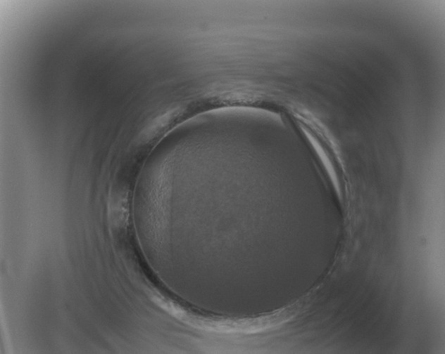 X0000079320017200611251816