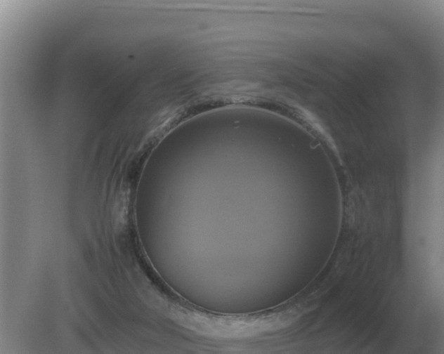 X0000079320018200611251816