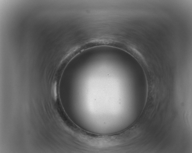 X0000079320020200611251816