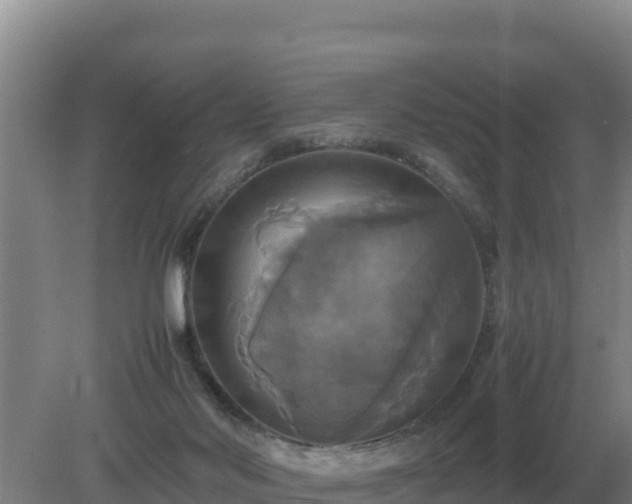 X0000079320022200611251816