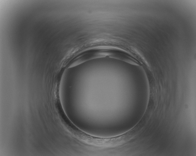 X0000079320023200611251816