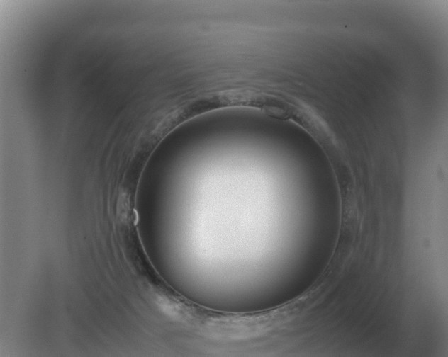 X0000079320025200611251816