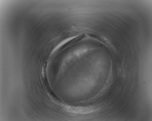 X0000079320026200611251816