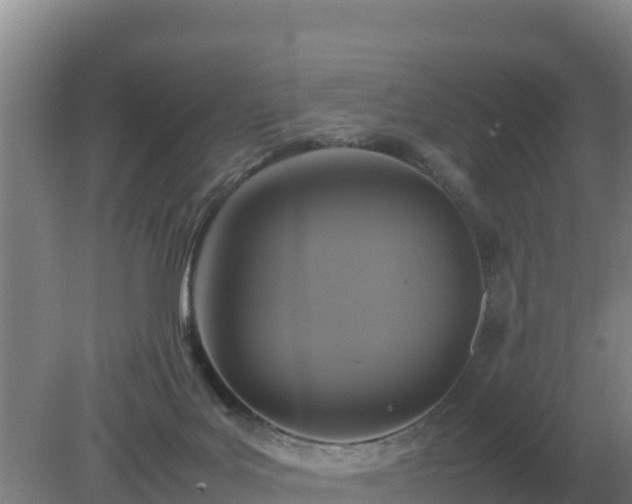 X0000079320027200611251816