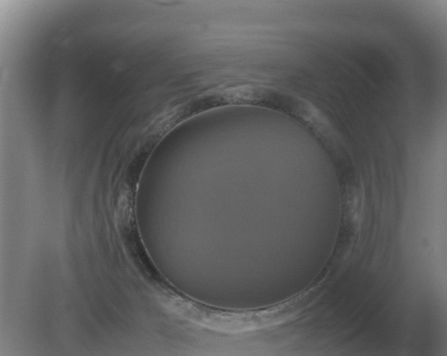 X0000079320029200611251816