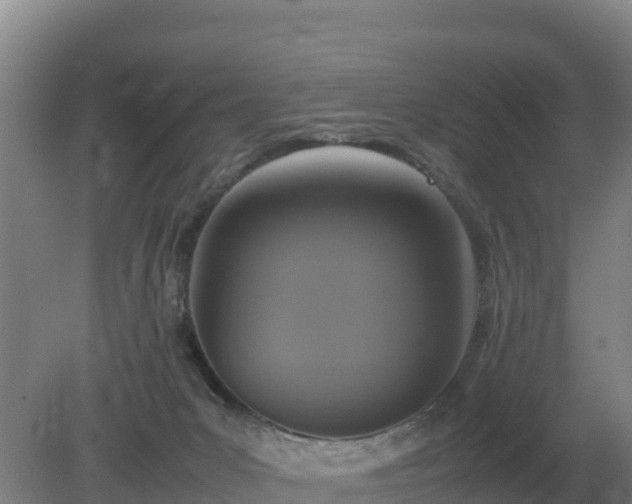 X0000079320031200611251816