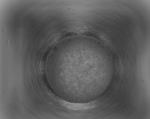 X0000079320034200611251816