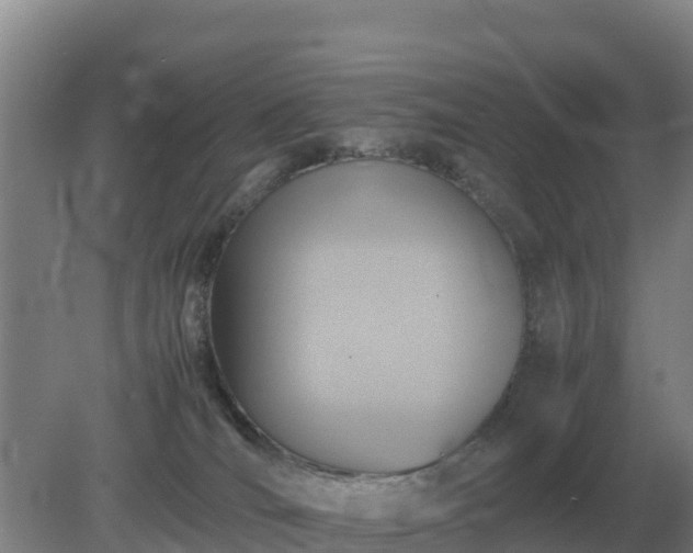 X0000079320036200611251816