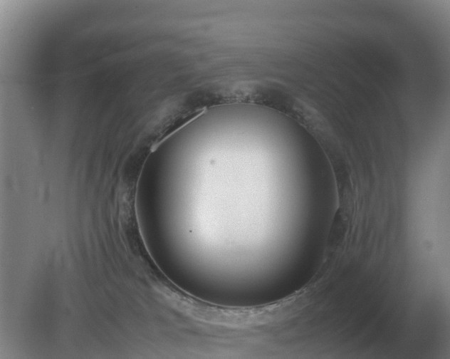 X0000079320037200611251816