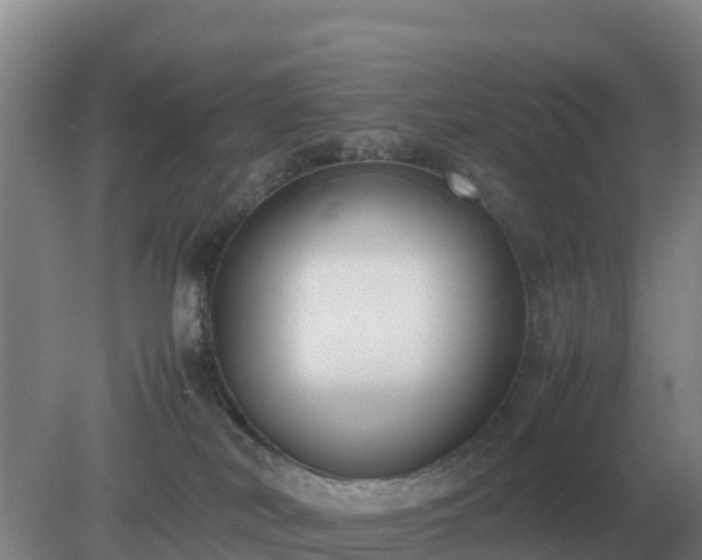 X0000079320038200611251816