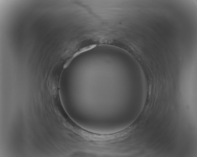 X0000079320039200611251816