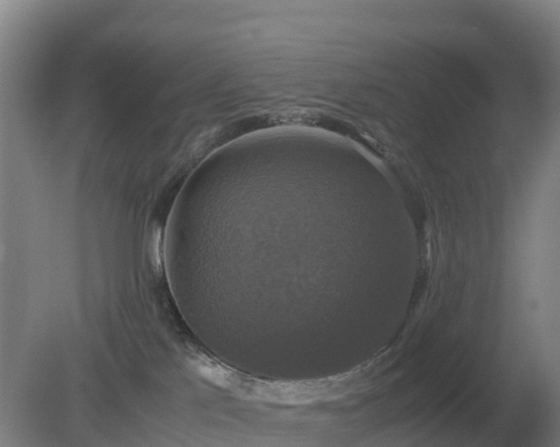 X0000079320041200611251816