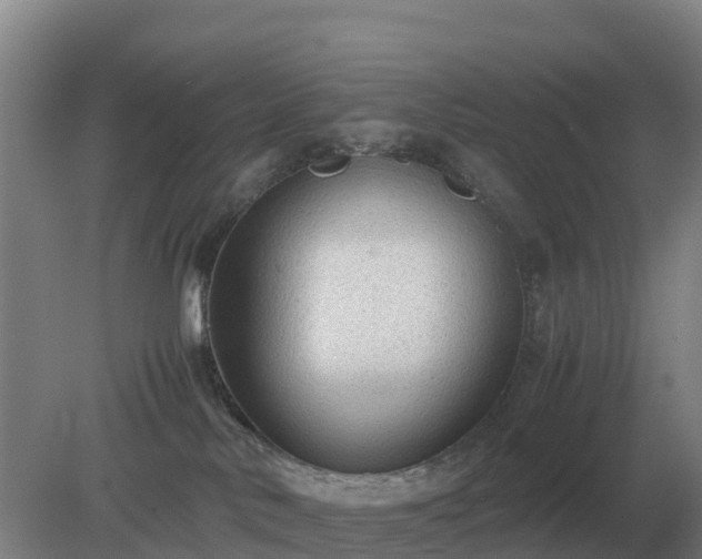 X0000079320042200611251816