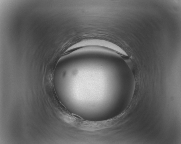 X0000079320045200611251816