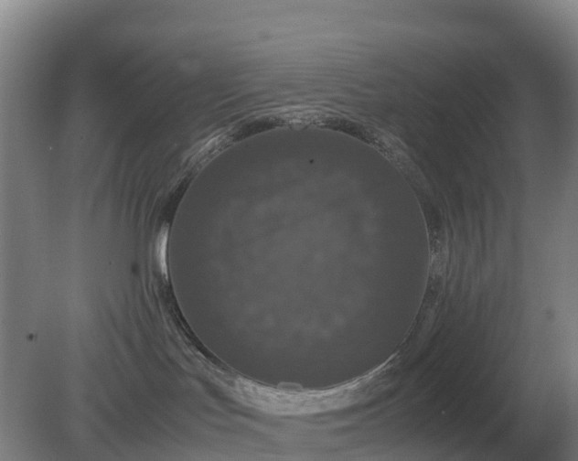 X0000079320047200611251816