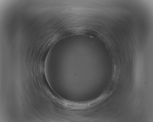 X0000079320048200611251816