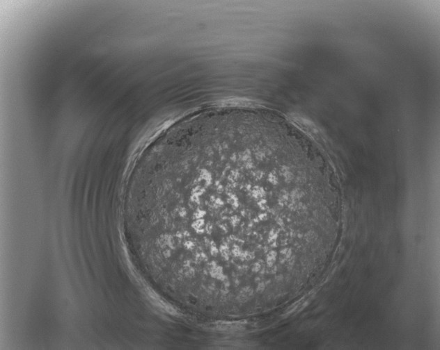 X0000079320049200611251815