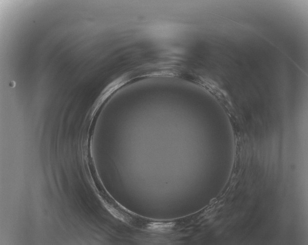 X0000079320051200611251815