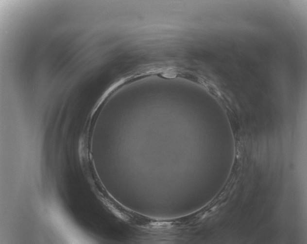 X0000079320052200611251815