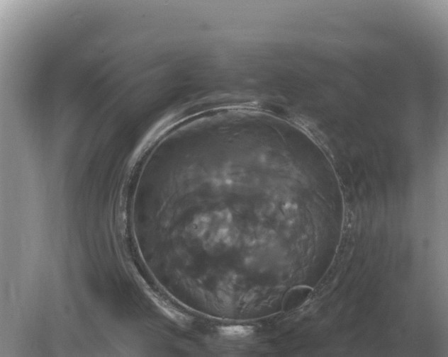 X0000079320053200611251815