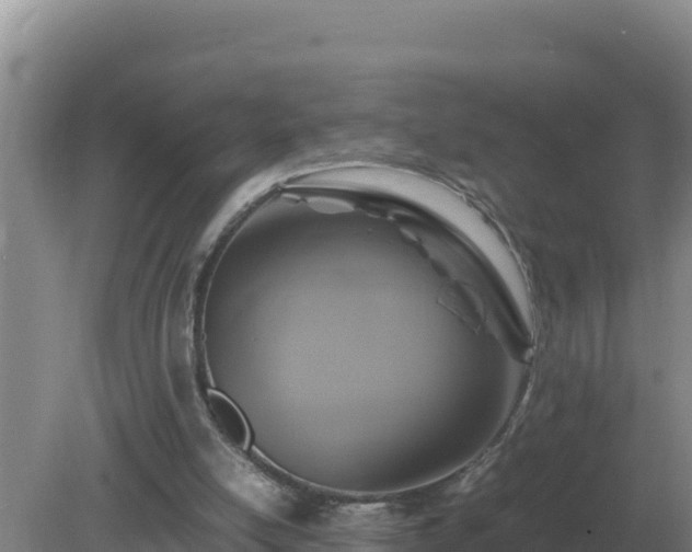 X0000079320054200611251815