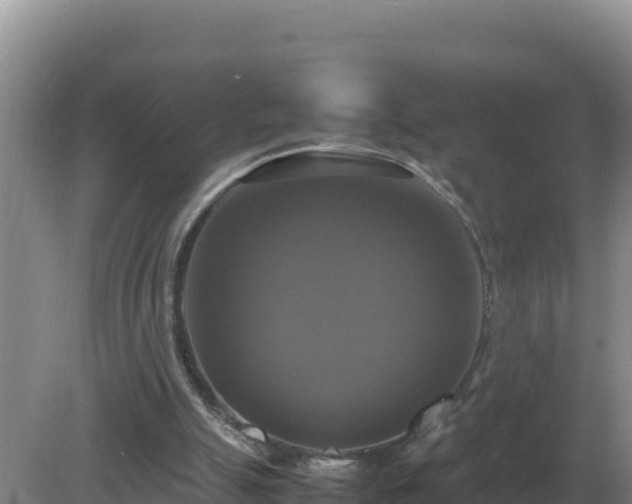 X0000079320055200611251815