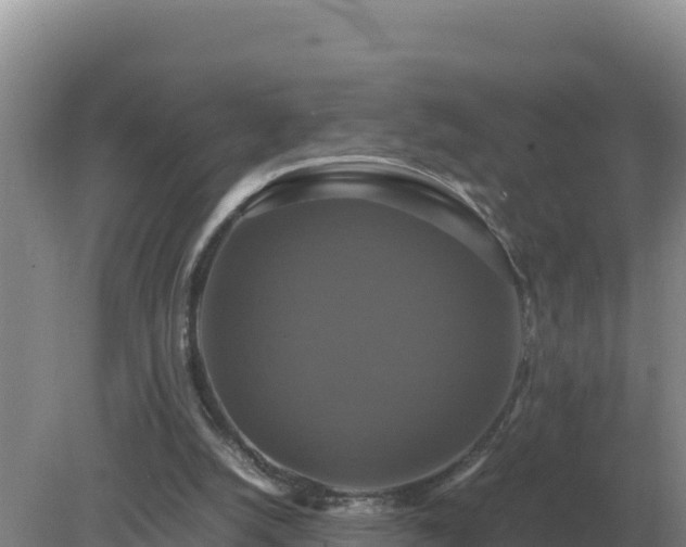 X0000079320056200611251815