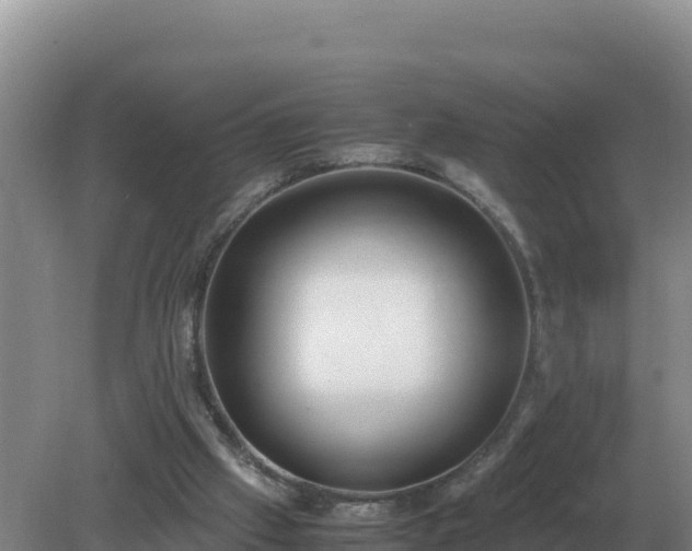 X0000079320057200611251815