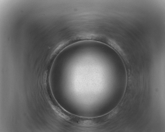 X0000079320058200611251815