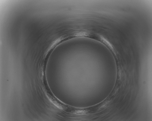 X0000079320059200611251815