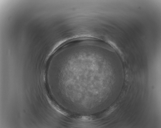 X0000079320060200611251815