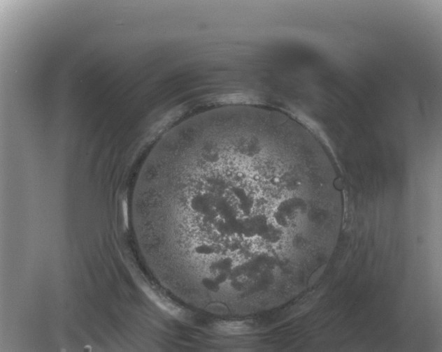 X0000079320061200611251815