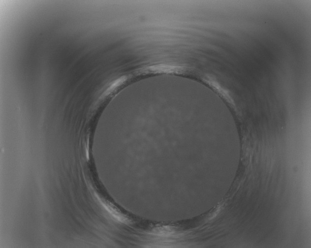 X0000079320062200611251815