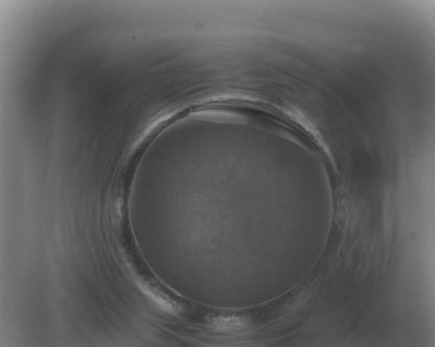 X0000079320063200611251815