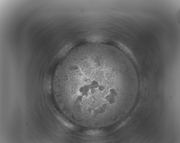 X0000079320065200611251815