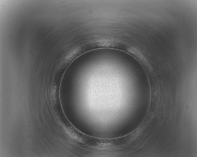 X0000079320066200611251815