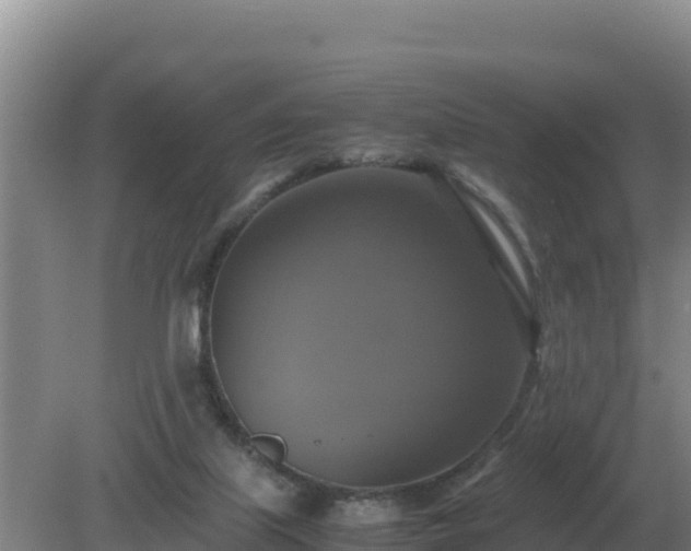 X0000079320067200611251815