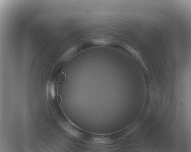 X0000079320069200611251815