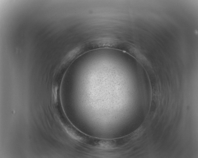 X0000079320070200611251815