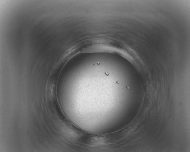 X0000079320071200611251815