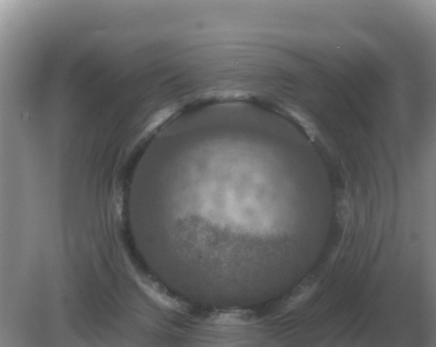 X0000079320072200611251815