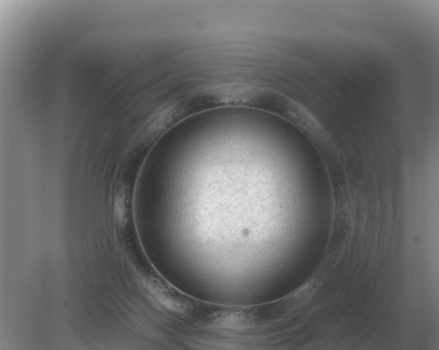 X0000079320074200611251815